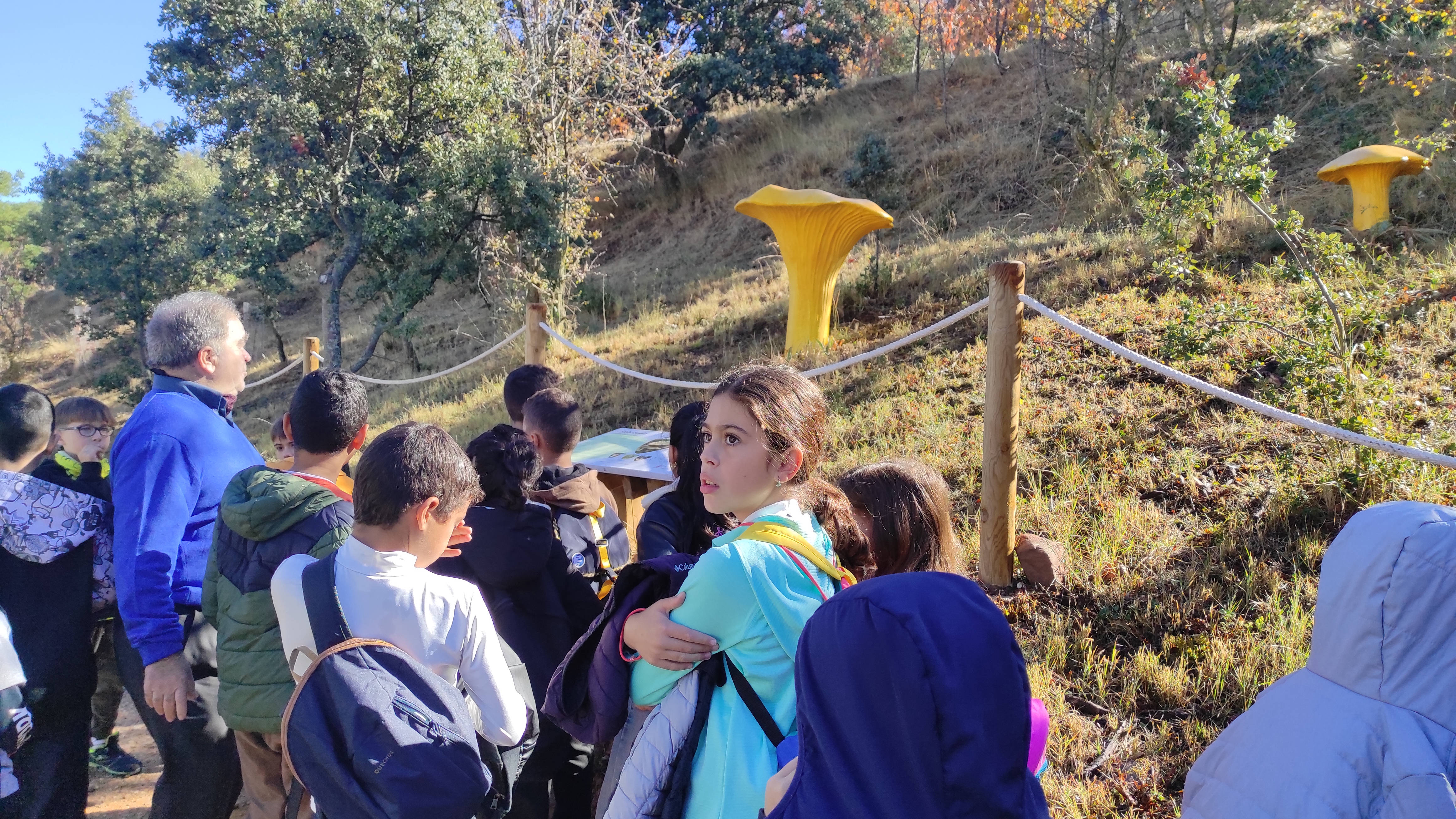 Copia de IMG_20251030_113245.jpg